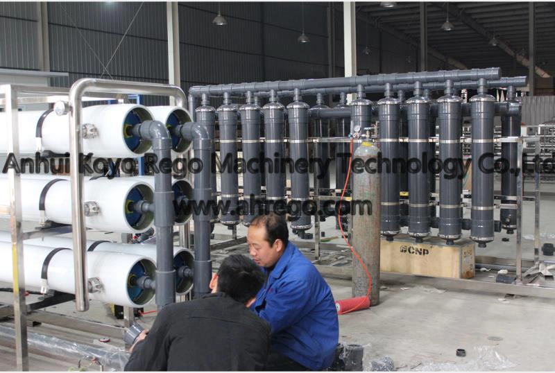 1000lph Water Reverse Osimosis System/Water Treatment Equipment/Water Treatment Plant