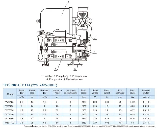 Home Use Clear Water Self-Sucking Pump-Wzb Series