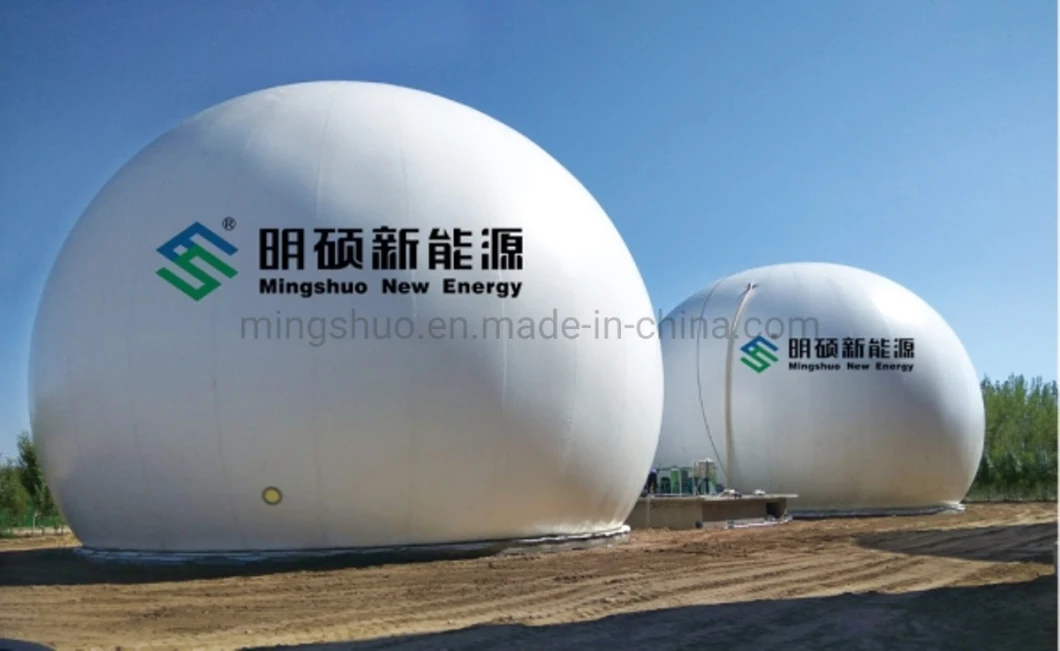 Membrane Gas Storage Tank Biogas Storage From Anaerobic Digestion