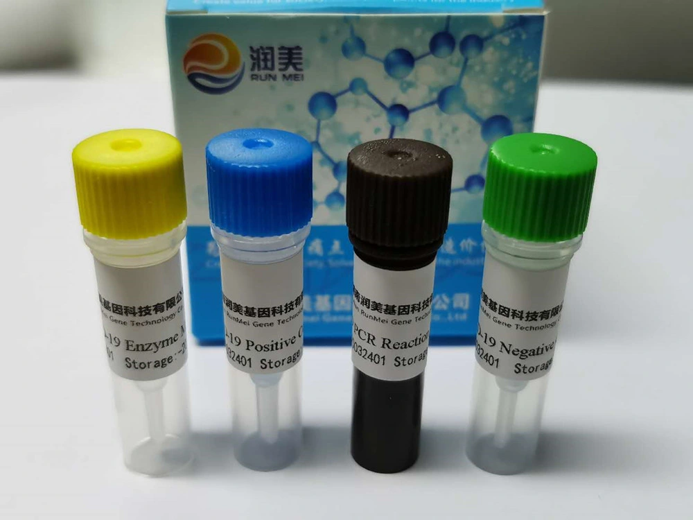 Virus Detection Kit PCR Method Rapid Test Kit for PCR Method