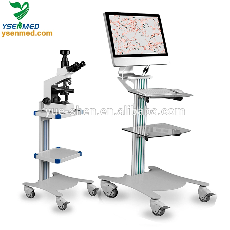 Analysis Yssw3703 Medical Instrument Sperm Analyzer Semen Analysis