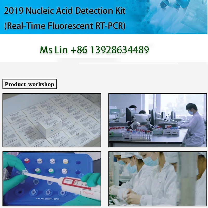 Nucleic Acid Test Kit/ Rapid Test Kit/ Real-Time PT-PCR Test Kit