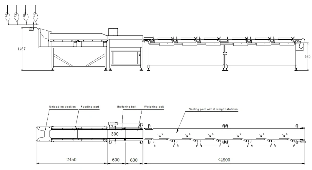 6-12 Levels High Accuracy Popular Weight Sorter Equipment for Chicken