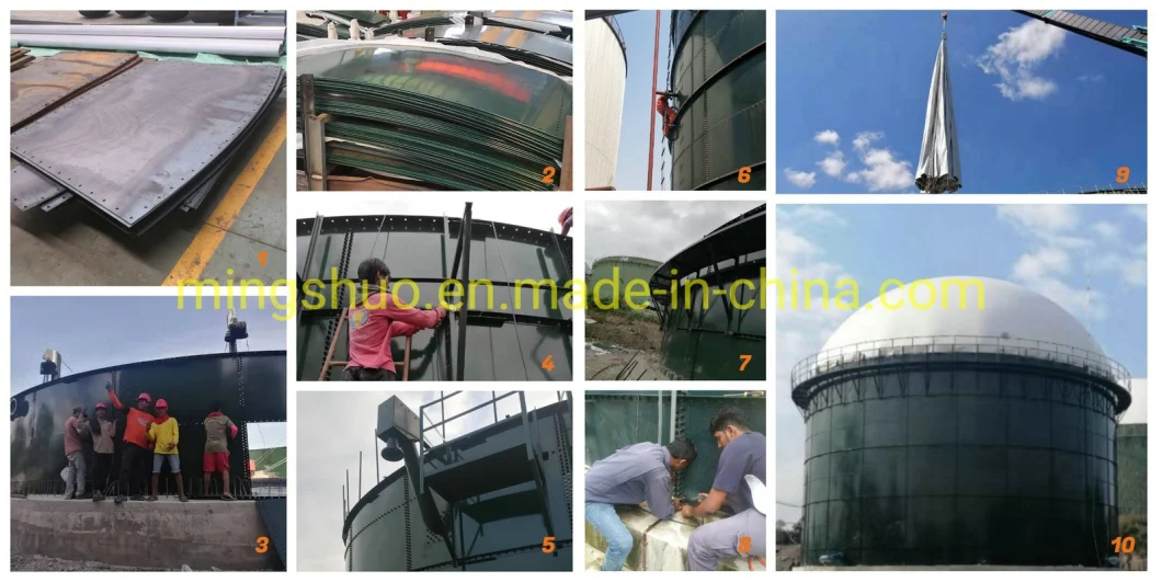 Cstr Biogas Project Anaerobic Digestion Steel Tank Reactor