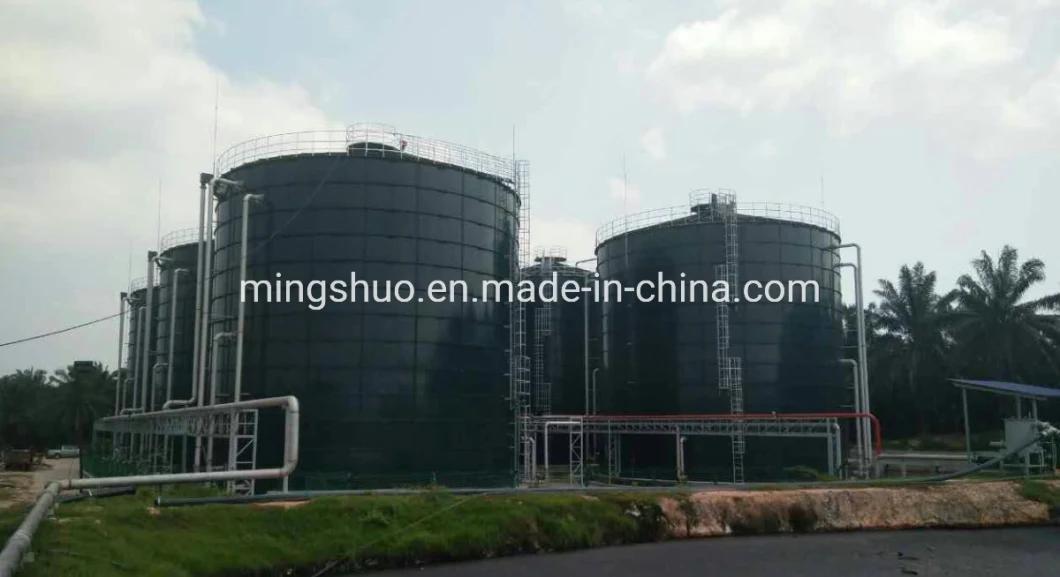 Cstr Biogas Project Anaerobic Digestion Steel Tank Reactor