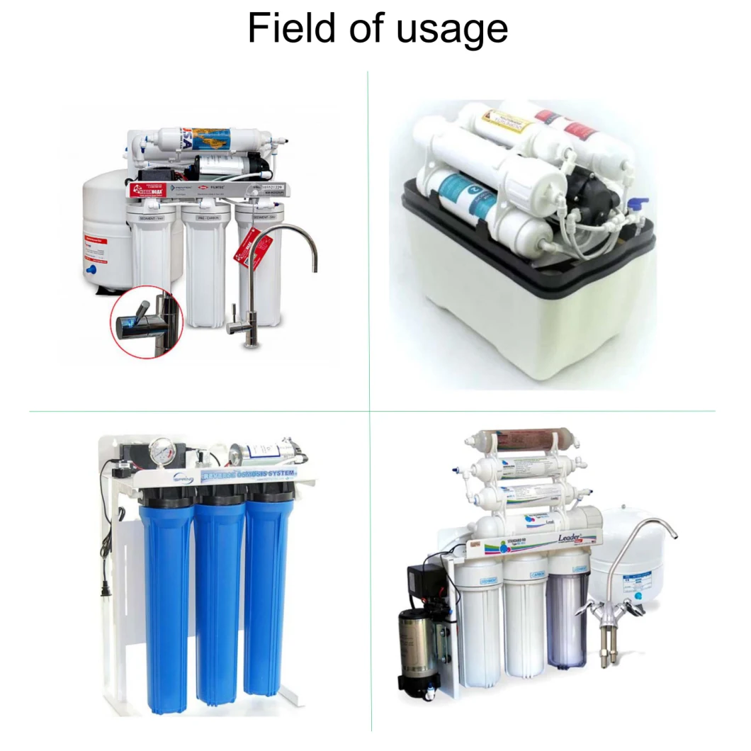 100 Gpd Lanshan 24V Best Seller High Quality RO Booster Diaphragm Pump