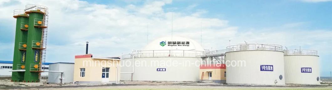 Cstr Biogas Project Anaerobic Digestion Steel Tank Reactor