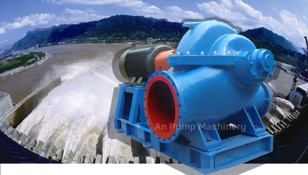 Dewatering Water Pump Set Centrifugal Sea Water Aquarium Pump