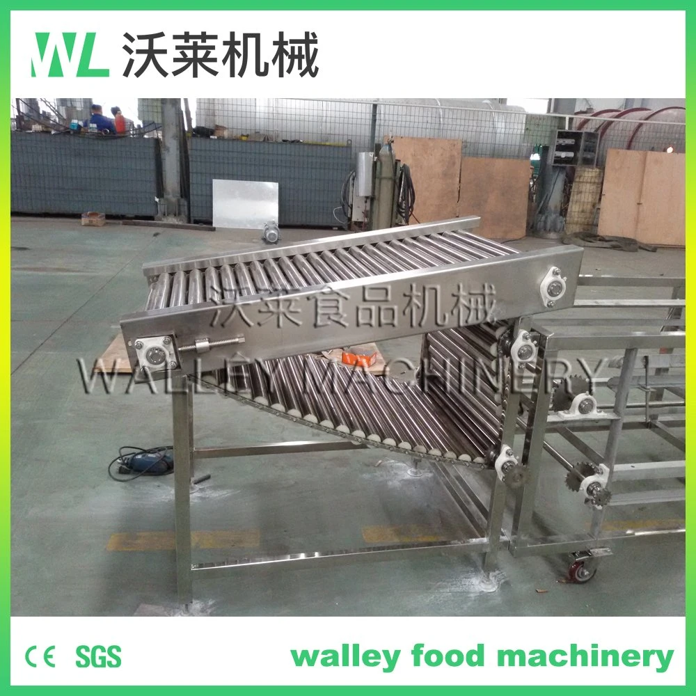 Industrial Five Levels Walnut Cucumber Sorting and Grading Machine