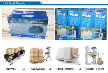 Hot Sale 220V Wzb Vortiacal Self-Priming Pump Clean Water Supply Pumping Motor