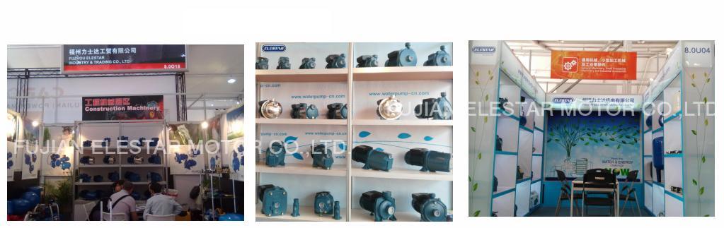 Peripheral Pump Wzb Series 0.5-1HP Clean Water Pumps
