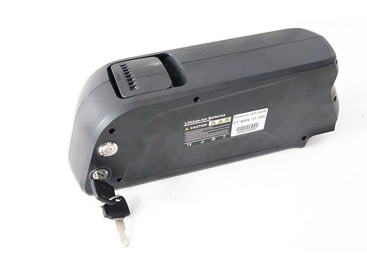 Ebike Bike Conversion Kit 48V 1000W Ebike BLDC Hub Motor Conversion Kit with Battery