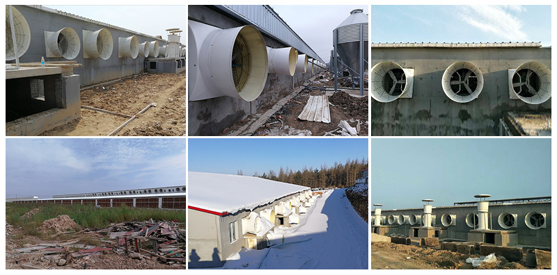 50" Poultry Farm Centrifugal Shutter Exhaust Fan Poultry Equipment