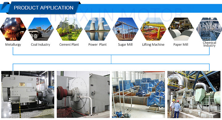AC Explosion Proof Motor for Coal Mine