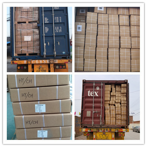 W1 W2 W4 Germany Type Worm Drive Hose Clamp for Connecting Pipes