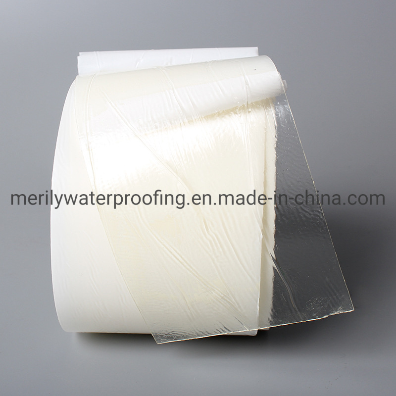 Self Adhesive HDPE Waterproofing Membrane for Tunnel Anti-Seepage