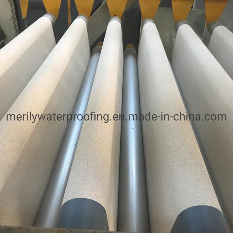 Self Adhesive HDPE Waterproofing Membrane for Tunnel Anti-Seepage