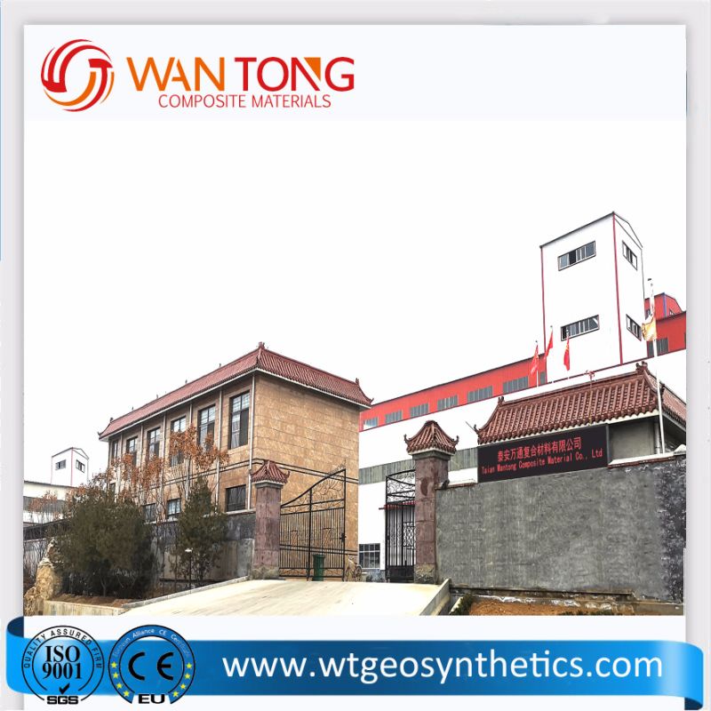 HDPE/Gravel Grid/Plastic/Envirogrid/Envirogrid Geocell for Retaining Walls