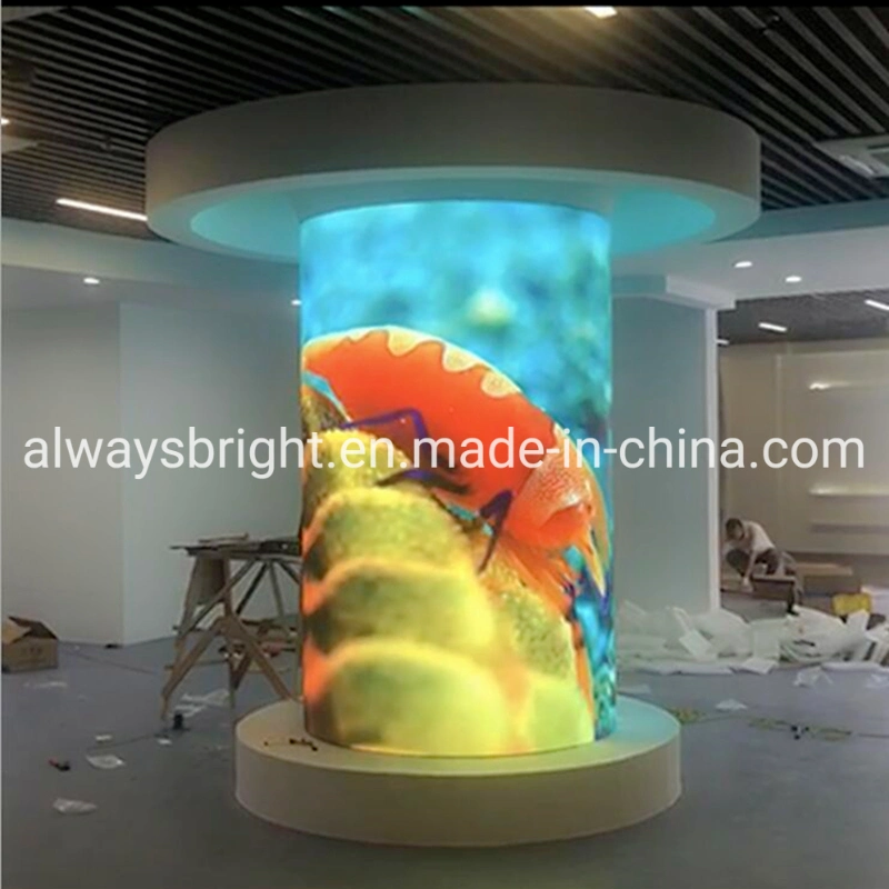 Hot Selling Soft Indoor LED Module/ Flexible LED Display Module