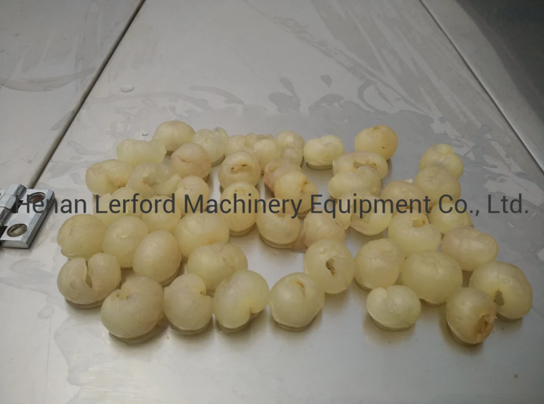 Industrial Rotary Semi-Automatic Rotary Fresh Litchi Pit Removal Machine/Stainless Steel Lichee Pitter