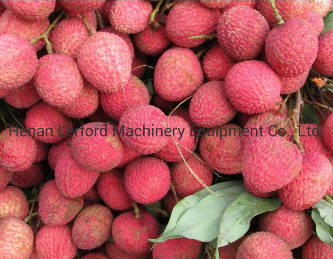 Industrial Rotary Semi-Automatic Rotary Fresh Litchi Pit Removal Machine/Stainless Steel Lichee Pitter