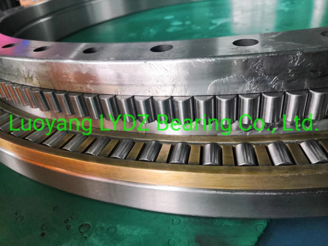 Precision Rotary Table Bearing Yrts200 Type Bearing