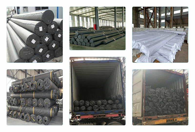 HDPE Geomembrane Agricultural Film with Direct Factory Price China