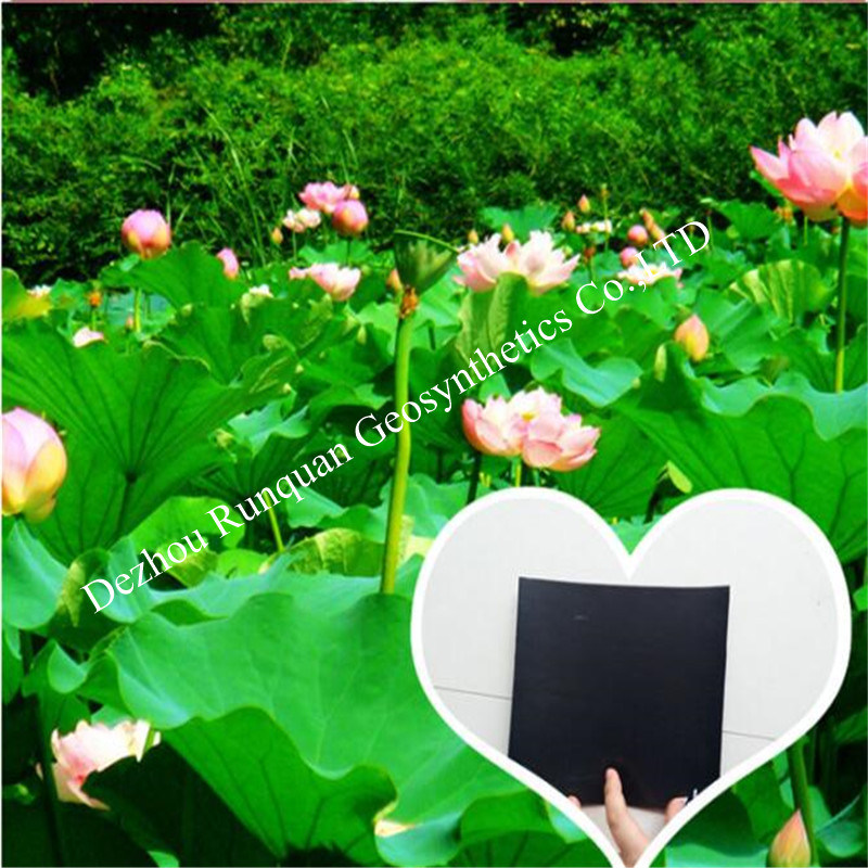 1.5mm LDPE Waterproof Membrane for Dam Liner