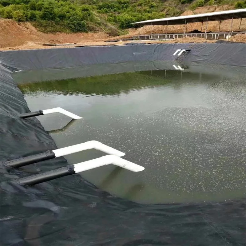 HDPE LDPE LLDPE PVC EVA Geomembrane Liner Pond Liner for Landfill Dam on Sale