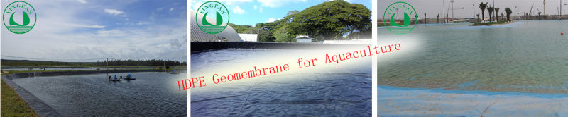 China 0.3--3.0mm HDPE/LDPE Geomembrane HDPE Pond Liner Manufacturer