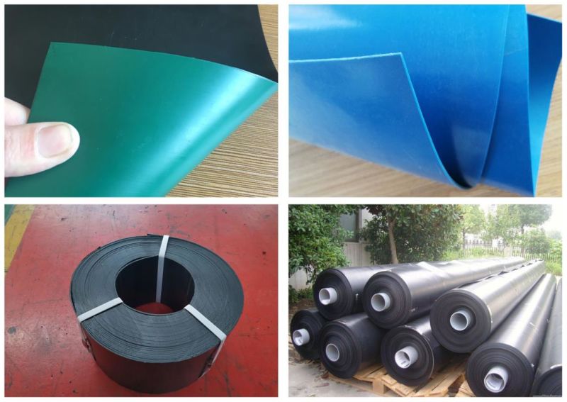 Polyethylene Sheet HDPE/LDPE/LLDPE HDPE Geomembrane with Direct Factory Price China