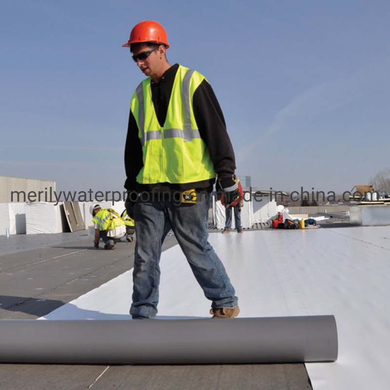 1.5mm Homogeneous Self Adhesive Tpo Roofing Waterproof Membrane