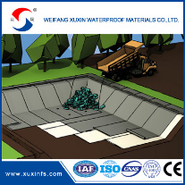 HDPE Geomembrane Price High Density Polyethylene HDPE Geomembrane