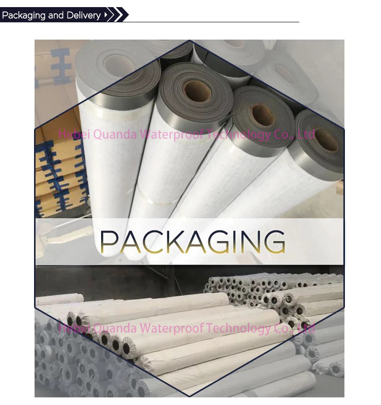 Exposed Waterproof Membrane Tpo Roofing Membrane for Flat Roof