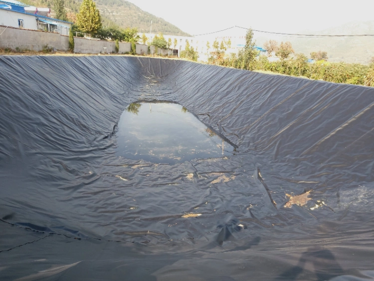 50 Mil GM13 HDPE Geomembrane for Agriculture Pond Liner