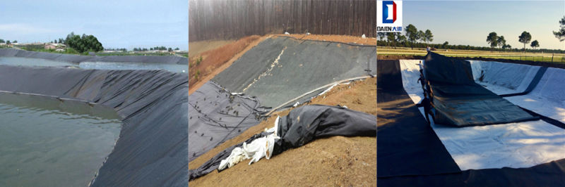 HDPE Pond Liner Manufacturer Dam Liner Geomembrane Price