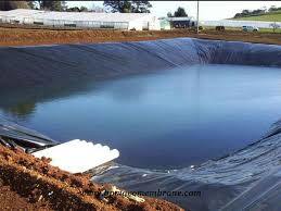 Jwell - Tunnel Agriculture Pond Liner LDPE LLDPE EVA MDPE HDPE Pehd Geomembrane Machine