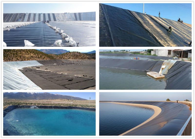 Virgin Material HDPE Geomembrane for Dam Manufacturer with Cheap Price China