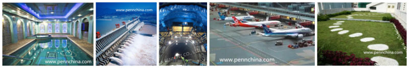 Multi-Specification Tpo Sheet Waterproofing Membrane with ISO&Ce Certificate