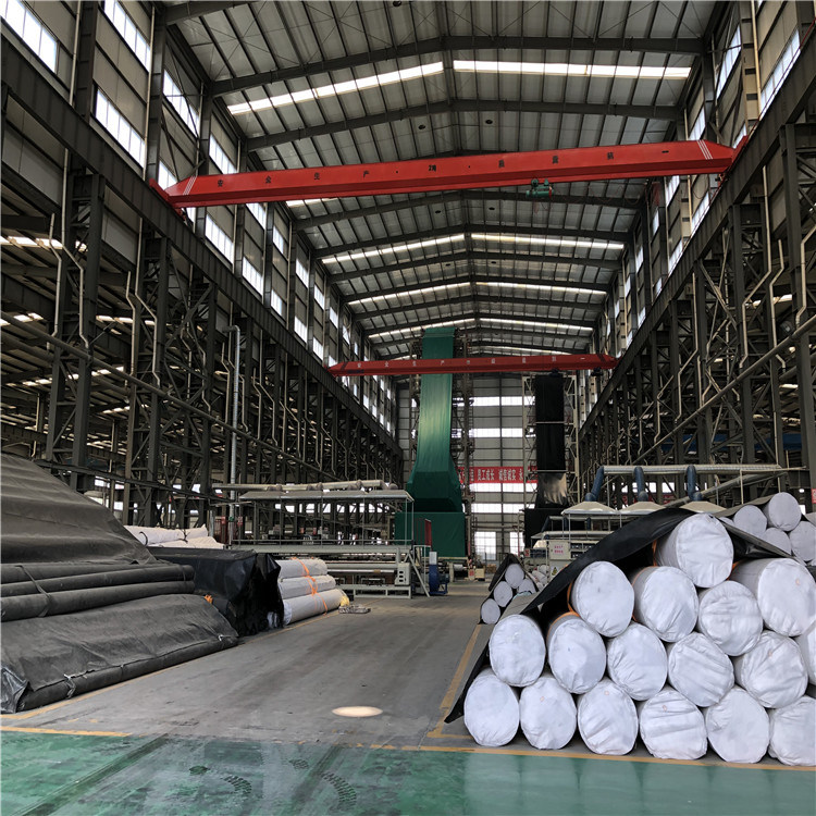 HDPE Impermeable Membrane for Sewage Dam
