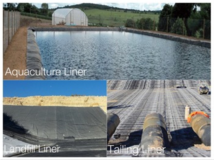 ASTM Standard Factory Price Unti-Seepage HDPE Geomembrane