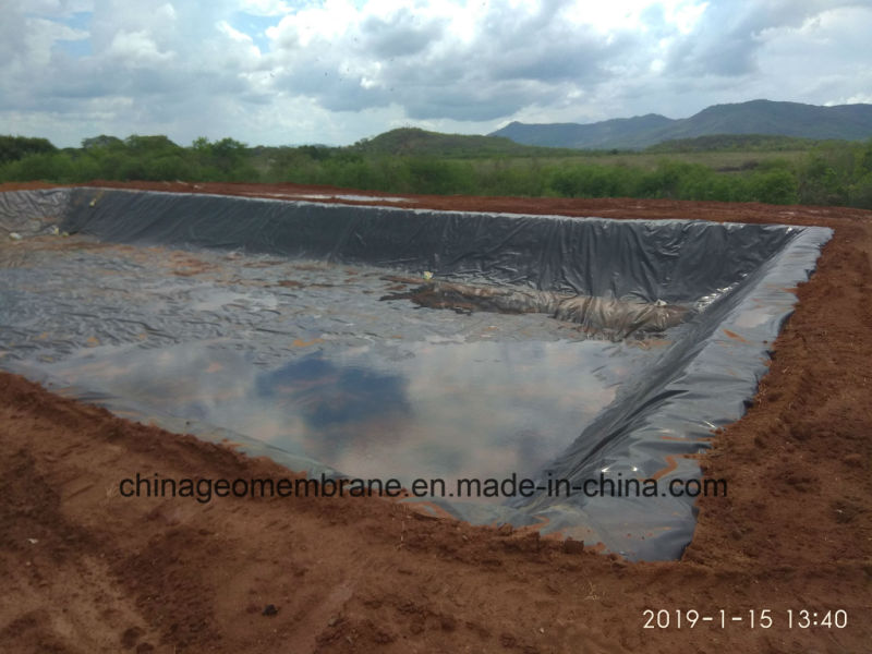 1.0mm Waterproof Membrane HDPE Geomembrane for Lagoon Dam Liner