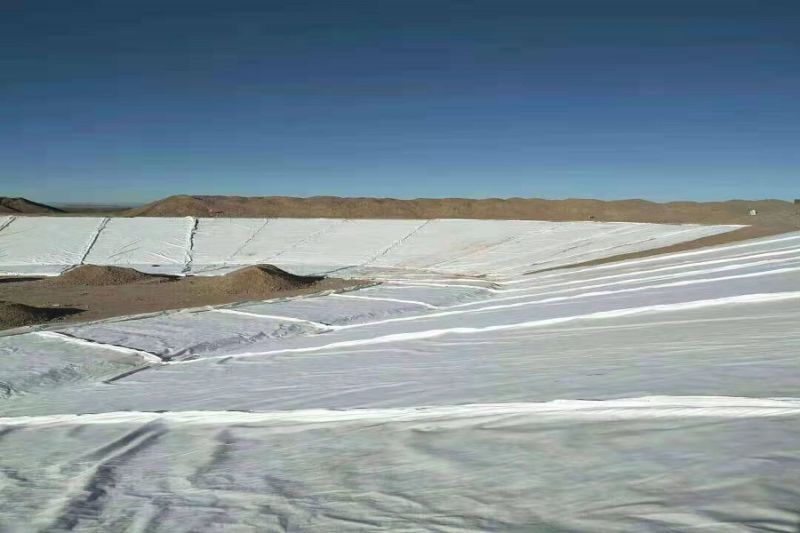 HDPE Landfill Smooth Geomembrane HDPE Liner Manufacturer