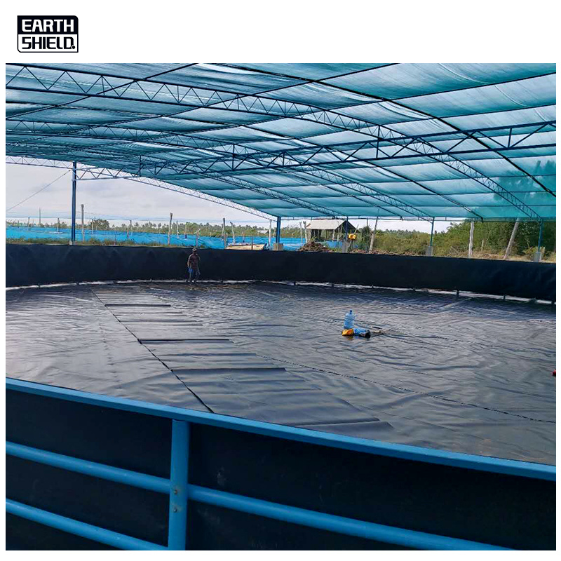 Fish Pond Liner Landfill HDPE Waterproof Material Geo Membrane