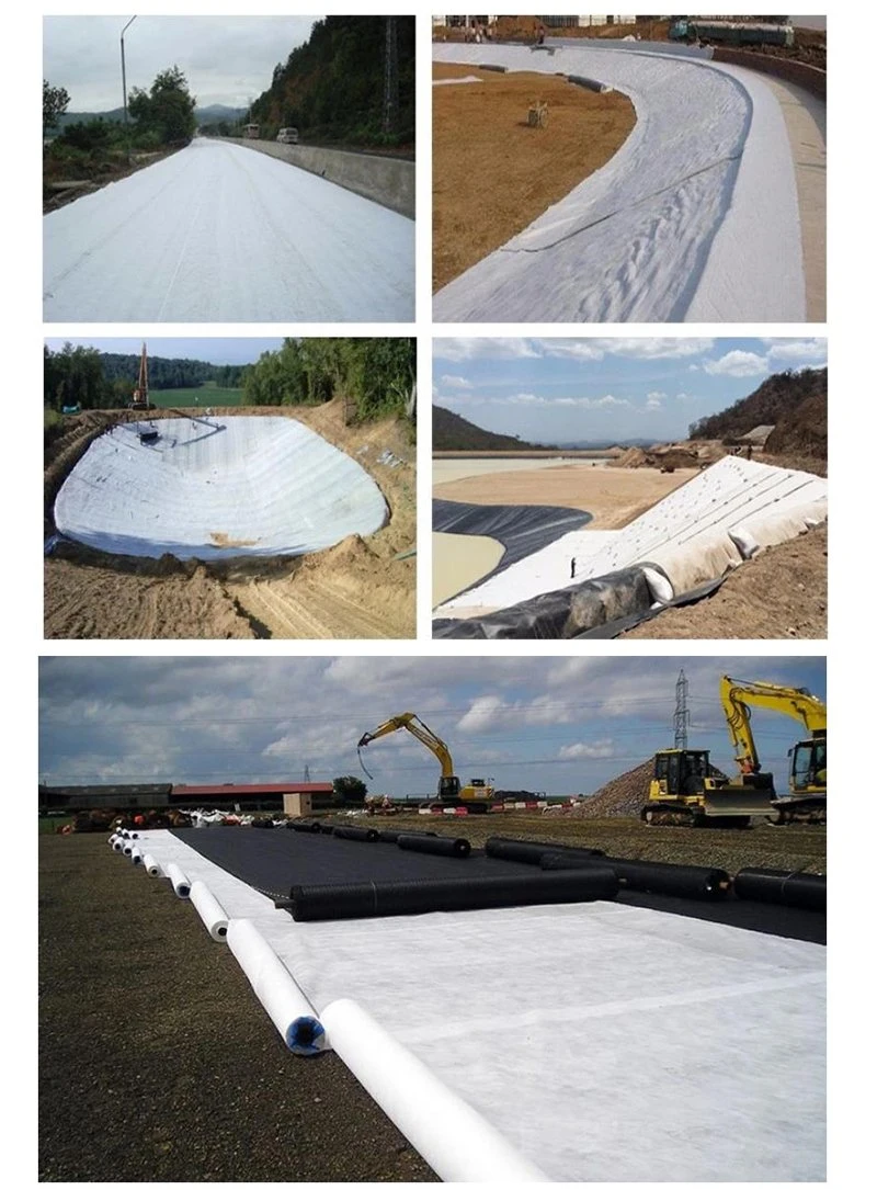 200GSM Favorable Price Non Woven Short Fiber Membrane Geotextile with Liner