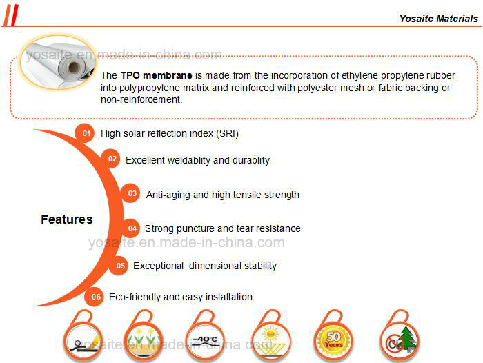 TPO (Modified Thermoplastic Polyolefin) Waterproof Membranes for Exposed Roofs