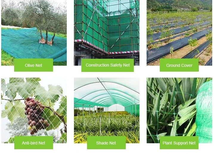 Hot Selling PE Net Safety Net for Building