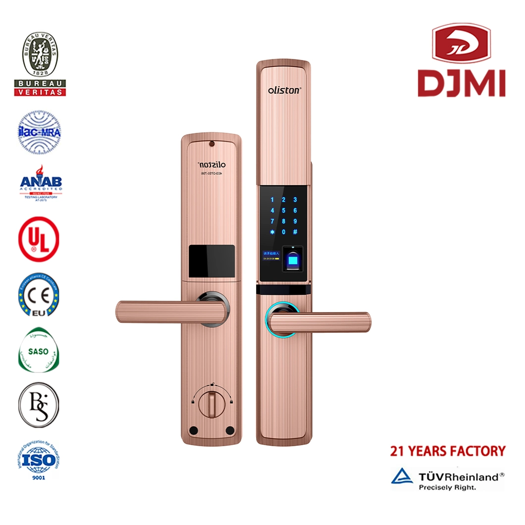 New Design Aluminium Sliding Locks Handle 316 Stainless Steel WiFi Electronic Door Lock