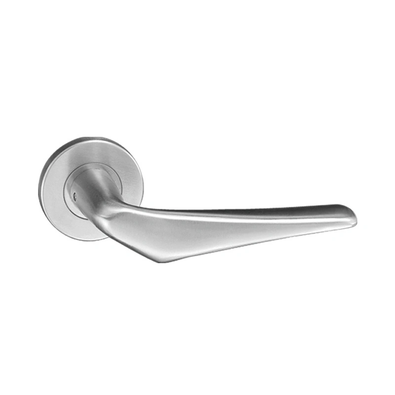 Stainless Steel 201 304 Door Pull Lever Handle on Rose Lock Handles (AL-Y5608)
