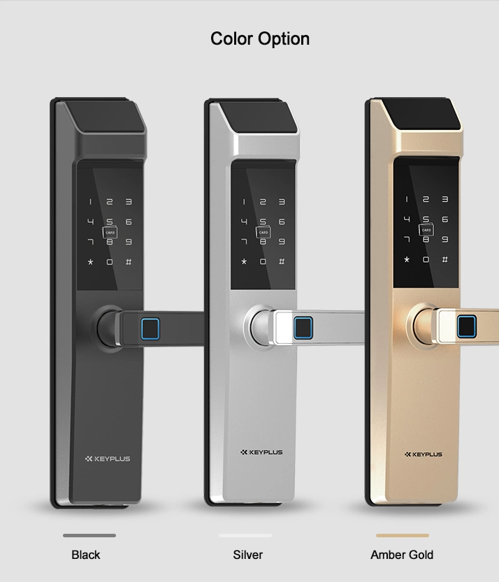 Door Handle and Lock Password Ttlock Tuya APP WiFi Fingerprint Smart Door Handle Lock